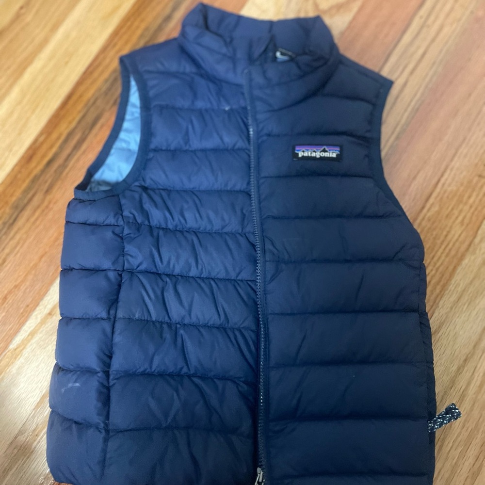 Patagonia Navy Puffer Vest